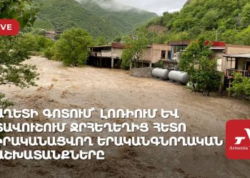 Замминистра рассказывает о ситуации в Армении после наводнения (прямое включение)