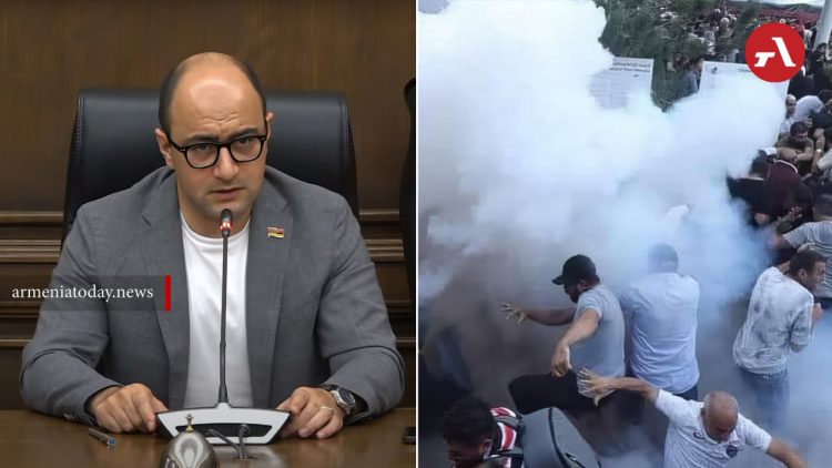 Ցուցարարների վնասվածքների պատճառներից մեկը հատուկ միջոցների սխալ կիրառումն էր․ Մամիջանյան