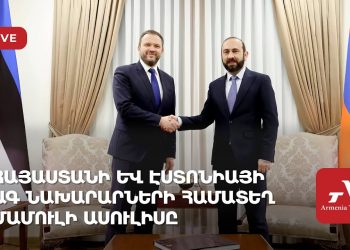 Проходит совместная пресс-конференция глав МИД Армении и Эстонии (прямое включение)