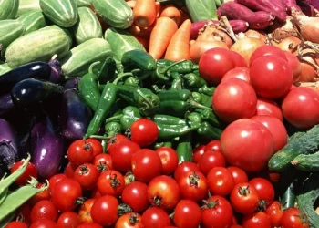 «Ռոսսելխոզնադզորը» ժամանակավորապես սահմանափակել է ՀՀ 16 ընկերության արտադրանքի մատակարարումը ՌԴ․ ՍԱՏՄ