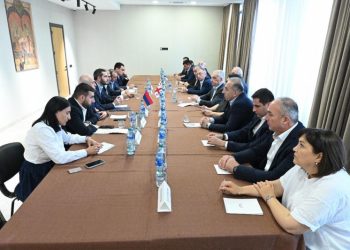 Հայաստանի և Վրաստանի ԱԺ բարեկամական խմբերը քննարկել են ռազմավարական գործընկերության ամրապնդումը