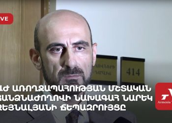 Проходит брифинг председателя комиссии НС по вопросам здравоохранения Нарека Зейналяна (прямое включение)