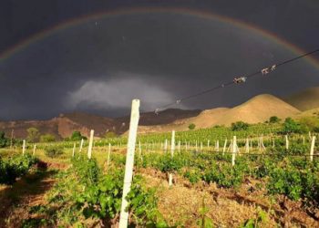 Հայկական Momik WineCube-ը Եվրոպայի ամենագեղեցիկ գինու գործարանների թոփ 10-ում է