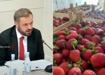 Հայաստանից ՌԴ արտահանված բեռնատարներից մեկի ելակը խնդիրներ է ունեցել. նախարար