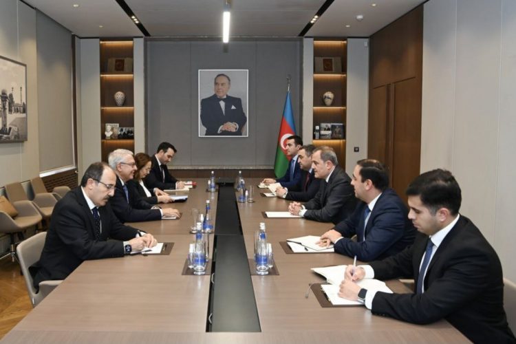 Բայրամովը Թուրքիայի հատուկ ներկայացուցչի հետ քննարկել է Երևանի և Բաքվի միջև խաղաղության գործընթացը