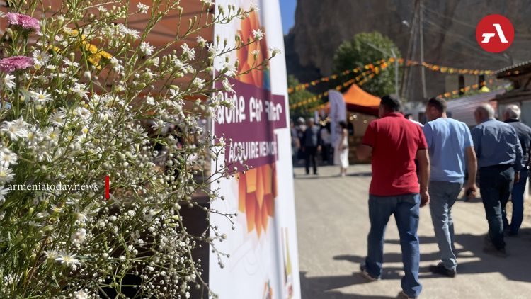 Երևանում կանցկացվի գիտության և արվեստի Artsakh Steam Fest փառատոնը