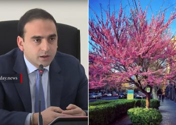 Աշխատանքը պետք է շարունակվի, անկախ նրանից՝ մարդիկ ինչ են խոսում. Ավինյանը՝ ծառերի փոխարինման մասին