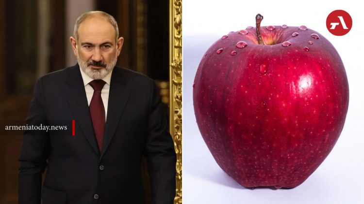 ԶԼՄ-ն հայտնել է Փաշինյանի ուղղությամբ խնձոր նետելու գործով նշանակված դատավորի անունը