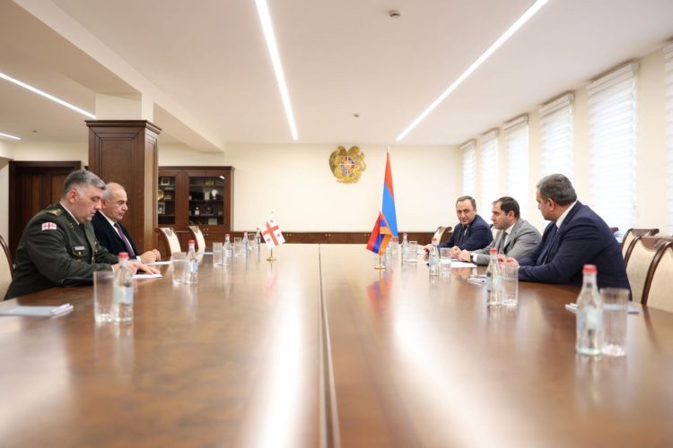 Հայաստանն ու Վրաստանը քննարկել են պաշտպանության բնագավառում համագործակցության հեռանկարները