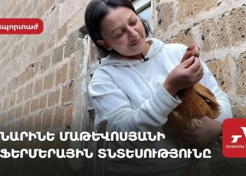 «Արցախից բերված մի բուռ հողը ծիլ է տվել». արցախցի Նարինե Մաթևոսյանը Շղարշիկ գյուղում ֆերմա է հիմնել