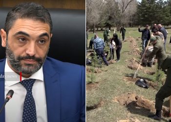 Չկարողացանք իրականացնել. Սիմիդյանը՝ «10 միլիոն ծառ» ծրագրի մասին