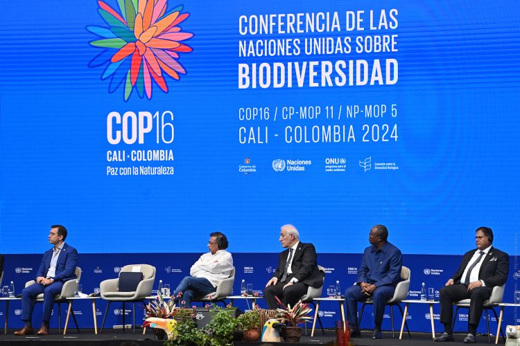 Հայաստանը 2026-ին կհյուրընկալի COP17 համաժողովը