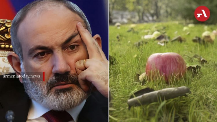 Փաշինյանի վրա խնձոր նետելու գործով ցուցմունք կտա նրա թիկնապահը․ ԶԼՄ