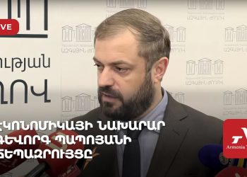 Проходит брифинг главы Минэка Геворга Папояна (прямое включение)