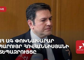 Проходит брифинг замглавы МИД Армении Паруйра Оганнисяна (прямое включение)