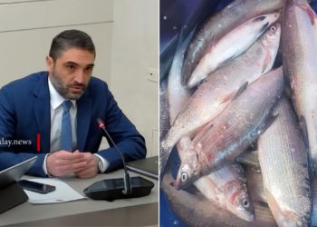 ԱԺ հանձնաժողովն ընդունել է սիգի բնօգտագործման վճարը եռապատկելու նախագիծը