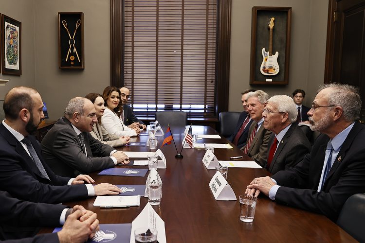 Пашинян обсудил с конгрессменами развитие партнерства с США и мирные переговоры с Баку