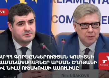 ԵՄ-ՀՀ գործընկերության կոմիտեի համանախագահներ Արման Եղոյանի և Նիլս Ուշակովսի ասուլիսը (ուղիղ)