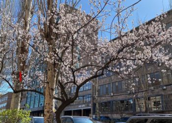 Погода в Армении и в Арцахе 7 марта: ожидается ясная погода