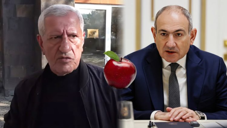 Դատարանը Փաշինյանի ուղղությամբ խնձոր նետելու գործով արդարացրել է 72-ամյա Ալբերտ Առստամյանին
