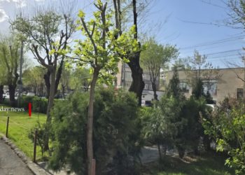 Погода в Армении и в Арцахе 5 апреля: кратковременные дожди продолжатся