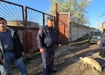 Ոստիկանները ջրանցքից դուրս են բերել խեղդվող կնոջը, տղամարդուն փրկել չի հաջողվել