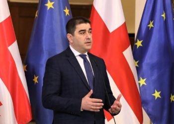Վրաստանի խորհրդարանի նախագահն արևմտյան դեսպաններին կոչ է արել չմիջամտել երկրի գործերին