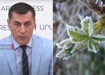 Հովտային ու նախալեռնային հատվածներում այս տարի ցրտահարություն չենք ունենա․ Սուրենյան