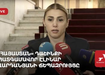 «Հայաստան» դաշինքի պատգամավոր Էլինար Վարդանյանի ճեպազրույցը (ուղիղ)