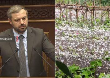 Պտղի մասով մինչև 30% վնասվածություն ունենք, բանջարեղենի՝ 50–60%․ Պապոյանը՝ կարկուտի վնասների մասին