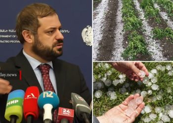Կարկուտը մեծ վնասներ է տվել գյուղատնտեսությանը, որոնք գույքագրում ենք․ Էկոնոմիկայի նախարար