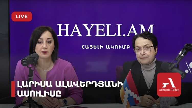 Проходит пресс-конференция первого омбудсмена Армении Ларисы Алавердян (прямое включение)
