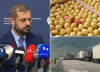 Լարսում մեծ հերթեր են, ծիրանի արտահանումը արտահերթ է արվում․ նախարար