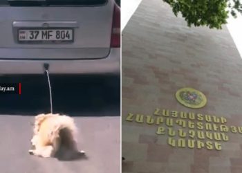 Բեռնախցիկից պարանով շանը քարշ տված քաղաքացու նկատմամբ խափանման միջոց է կիրառվել բացակայելու արգելքը․ ՔԿ