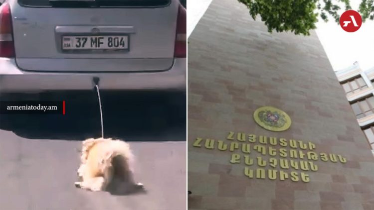 Суд избрал запрет на выезд мерой пресечения бюрегаванцу за жестокое обращение с собакой