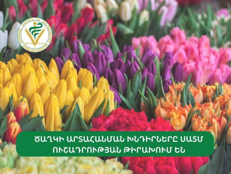 ՍԱՏՄ-ն զբաղվում է ծաղիկների արտահանման խնդիրներով․ Հայաստան կայցելի «Ռոսսելխոզնադզորի» մասնագետների խումբ