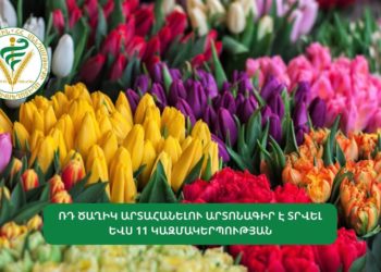 ՌԴ ծաղիկ արտահանելու արտոնագիր է տրվել ևս 11 կազմակերպության