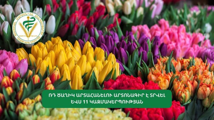 ՌԴ ծաղիկ արտահանելու արտոնագիր է տրվել ևս 11 կազմակերպության