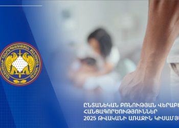 ՔԿ-ում այս տարի քննվել է ընտանեկան բռնության վերաբերյալ 1482 քրեական վարույթ
