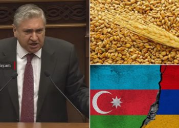Ադրբեջանի տարածքով ՀՀ ցորեն տեղափոխելն ապաշրջափակում ներկայացնելն անամոթ կեղծիք է․ պատգամավոր
