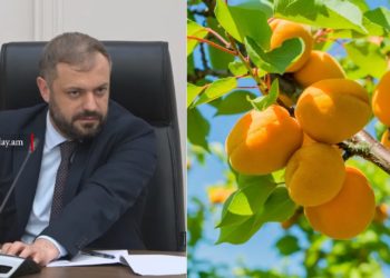 Հայկական ծիրանը թուրքական, իսպանական, իտալական ծիրանի նկատմամբ որակական առավելություն ունի․ Պապոյան