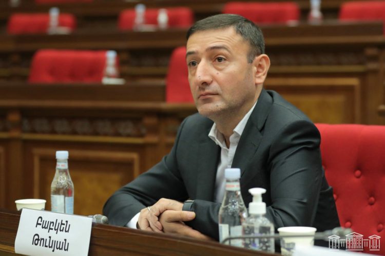 Ֆիզիկական անձանց եկամուտների հայտարարագրման համակարգում փոփոխություններ են պատրաստվում․ Թունյան