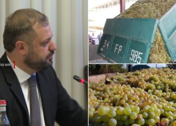 Խաղողի մթերումը գրեթե ավարտված է, 211 հազար տոննա մթերվել է. Պապոյան