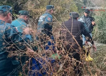 Տարեց կինն ընկել է Հրազդան գետը․ ԶԼՄ