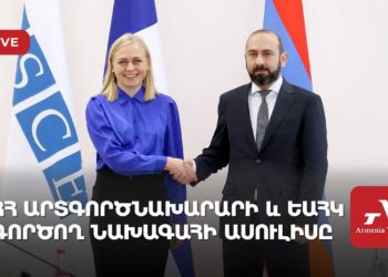 ՀՀ արտգործնախարարի և ԵԱՀԿ գործող նախագահի ասուլիսը (ուղիղ)