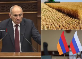 Ցորենի գնումը կատարել է ոչ թե կառավարությունը, այլ մասնավորը․ ՀՀ վարչապետ