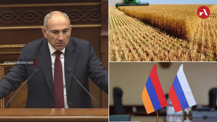 Ցորենի գնումը կատարել է ոչ թե կառավարությունը, այլ մասնավորը․ ՀՀ վարչապետ