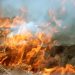 В Тавуше вспыхнул пожар: в Дилижане и Навуре горит растительность