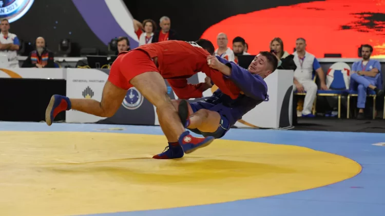 Армянские спортсмены взяли две бронзы на чемпионате мира по самбо