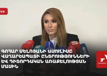 Конституционалист Гоар Мелоян рассказывает о предстоящих выборах в Вагаршапате и миссии наблюдателей (прямое включение)